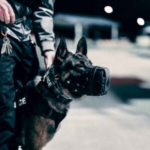 Residential Security in california